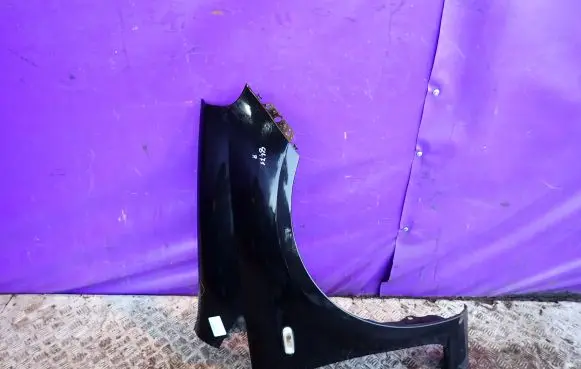 Fiat Punto (199) Fender