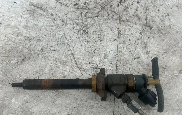 Citroen C4 I Picasso Fuel injector 0445110311