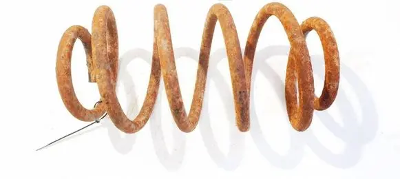 Rear coil spring