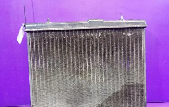 Peugeot 206 CC Coolant radiator 