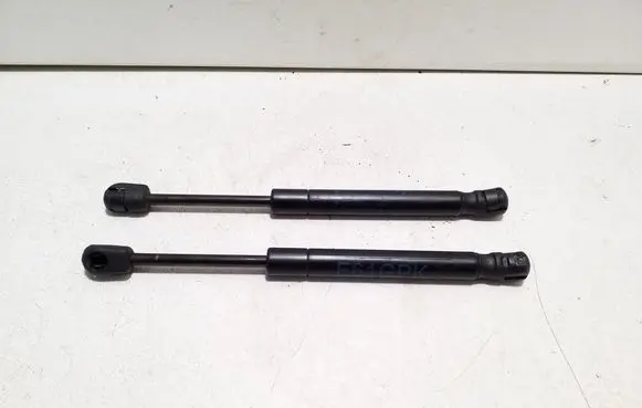 Tailgate strut