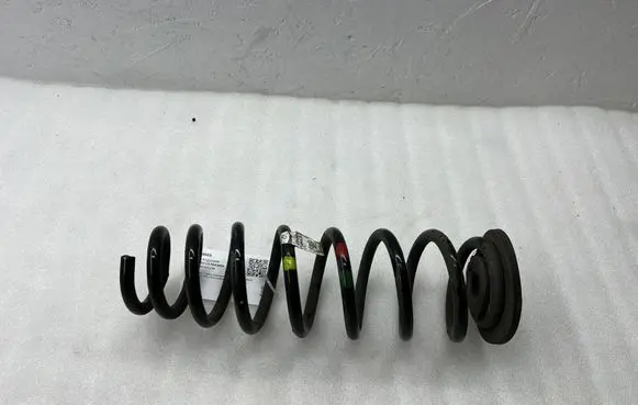 Rear coil spring