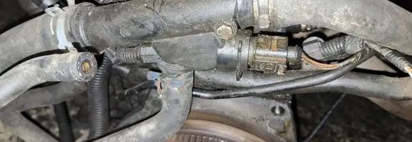 Volkswagen Bora Engine coolant pipe/hose 038121133