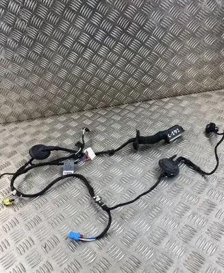 Audi Q5 SQ5 Front door wiring loom 80A971030
