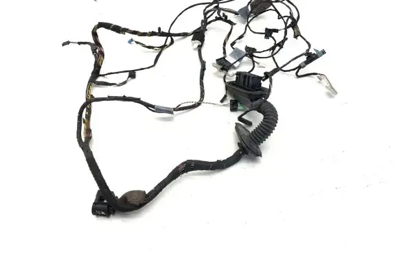BMW X5 E70 Front door wiring loom 6925548 1670537