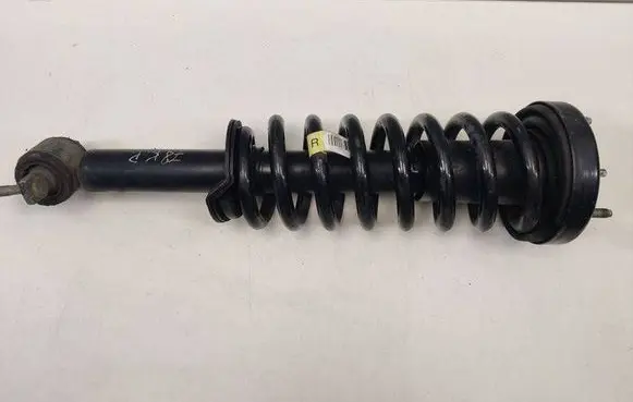 Ford F150 Front shock absorber/damper JL3418045