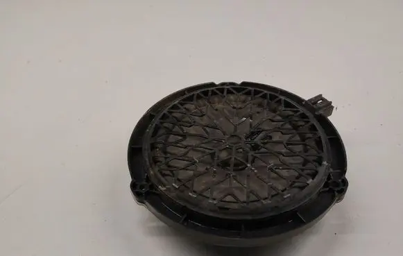 Front door speaker