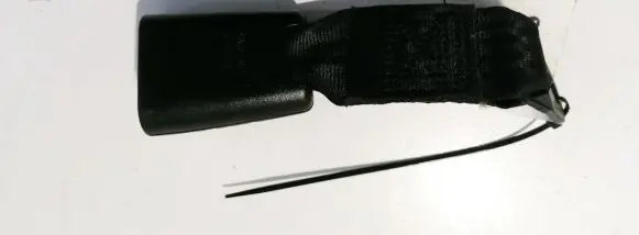Middle seatbelt buckle (rear)