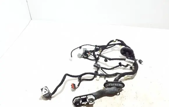 Other wiring loom