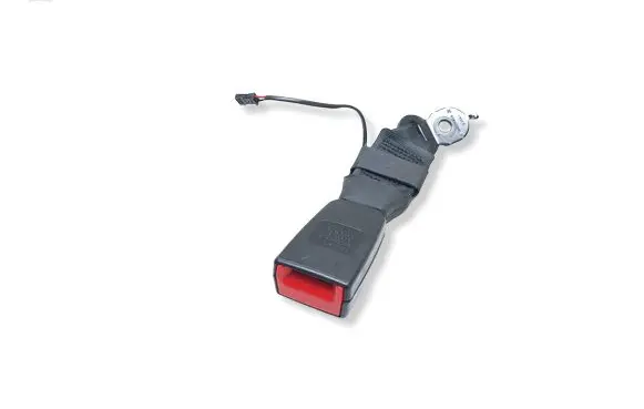BMW 5 F10 F11 Middle seatbelt buckle (rear) 7243275