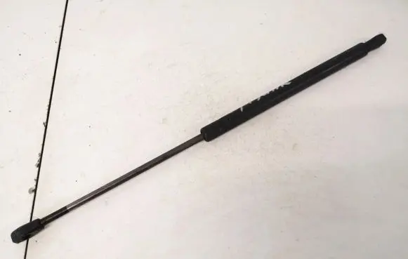 Tailgate/trunk strut/damper