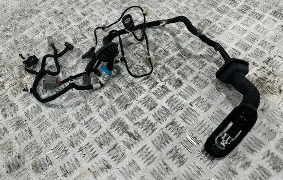 Chevrolet Corvette C8 Front door wiring loom 816509533 84933437 8165009532