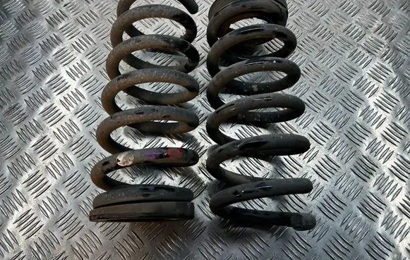 Rear coil spring