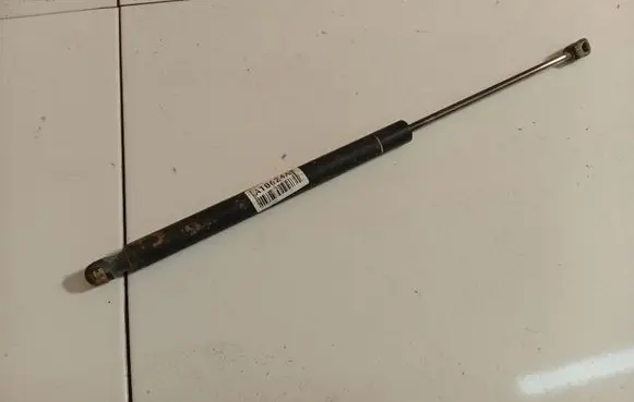 Tailgate/trunk strut/damper