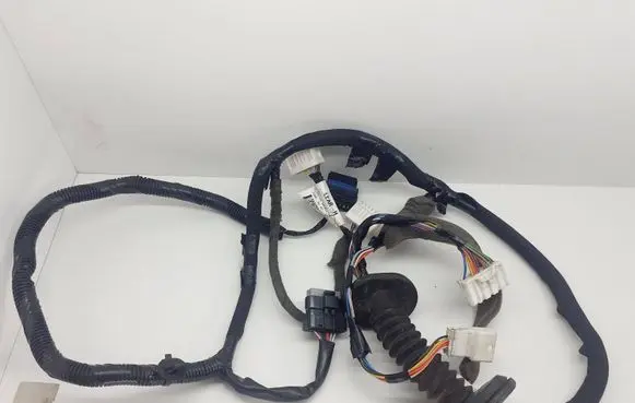 Front door wiring loom