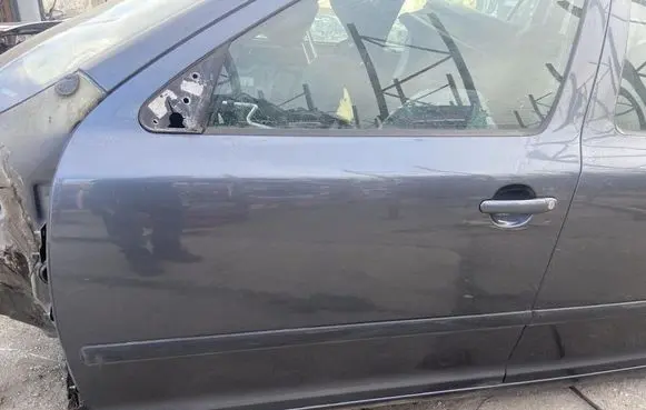 Skoda Octavia Mk2 (1Z) Front door 