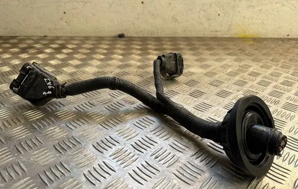 KIA EV6 Other wiring loom 91981r0000