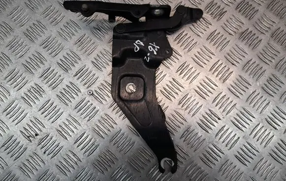 BMW X6 E71 Engine bonnet/hood hinges 720862801