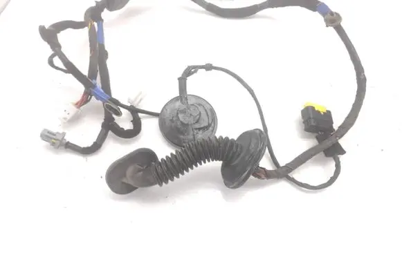 Hyundai Grandeur Rear door wiring loom 919803K040