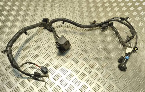 Hyundai i20 (GB IB) Positive wiring loom 91850C8010 GB130549