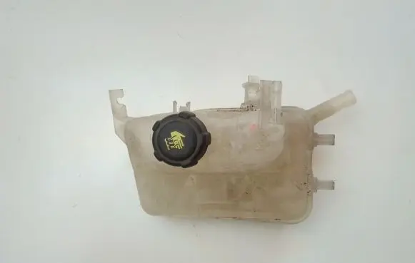 Renault Scenic III - Grand scenic III Coolant expansion tank/reservoir 217100005R