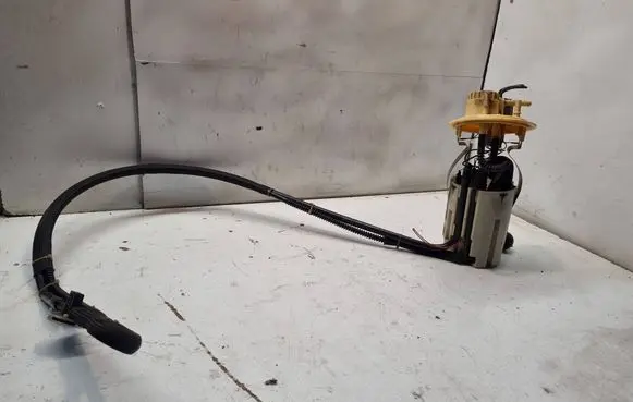 Volvo S60 In-tank fuel pump 0580314009 30648569
