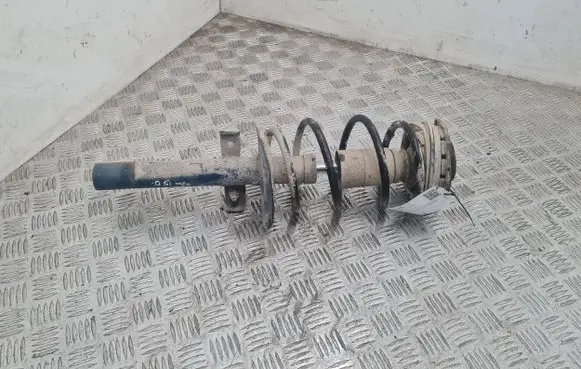 Renault Megane II Front shock absorber/damper