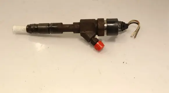Renault Scenic II - Grand scenic II Fuel injector 0445110110