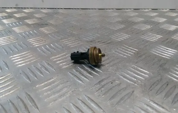 Renault Clio III Coolant temperature sensor 