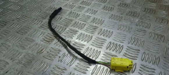 Porsche Cayenne (9PA) Other wiring loom 6X0972783