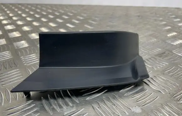 Rear/tail light trim molding