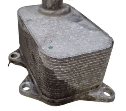 Volkswagen PASSAT B7 Engine oil radiator 06J117021J