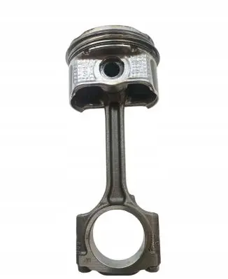 Piston with connecting rod