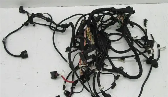 BMW X6 E71 Front door wiring loom/harness boot 