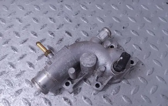Thermostat/thermostat housing