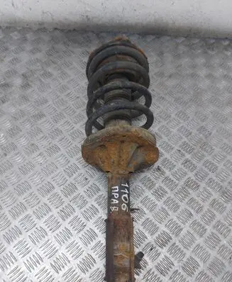 KIA Carnival Front shock absorber/damper NRAKODO