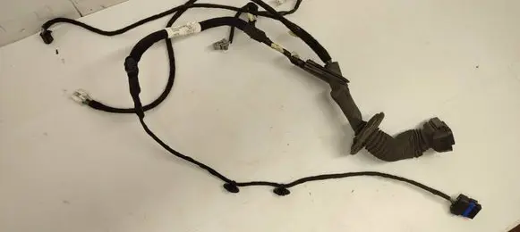 Renault Kangoo II Front door wiring loom 241247677R 0A0200