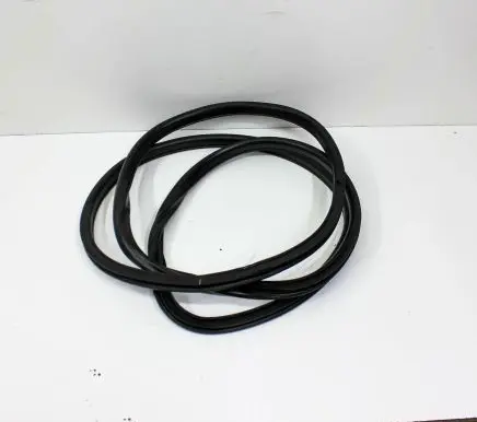 Nissan Leaf I (ZE0) Rubber seal front coupe door 
