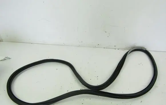 Renault Laguna III Rear door rubber seal (on body) 