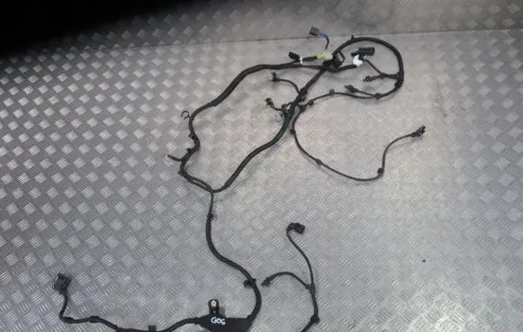 BMW X5 G05 Positive wiring loom 