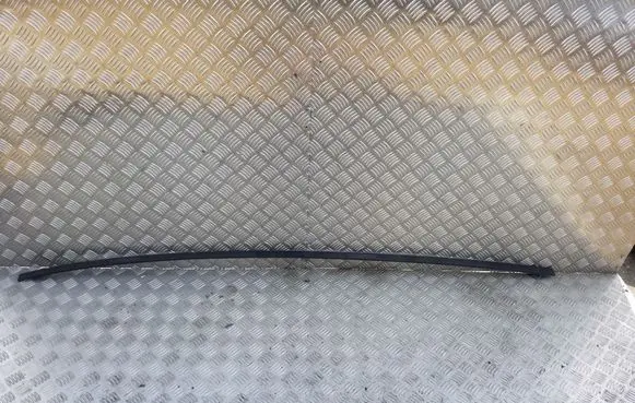 Roof trim bar molding cover