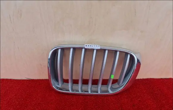 BMW X3 F25 Front grill 51117210725