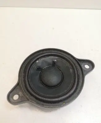 Panel speaker