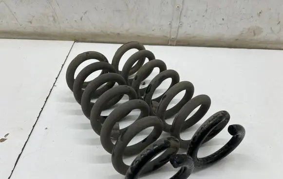 Rear coil spring