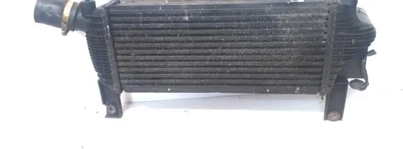 Nissan Navara Intercooler radiator 14461EB360