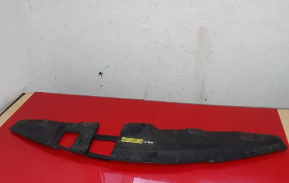 Engine bonnet/hood lock trim molding