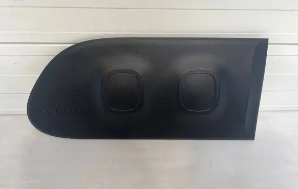 Citroen C3 Rear door trim (molding) 9813094077