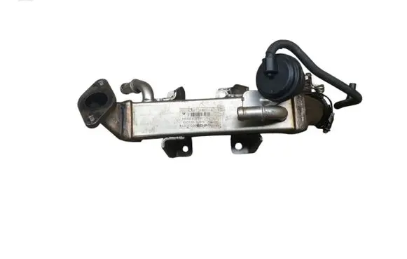 Renault Espace - Grand espace IV EGR valve cooler 8200719993B H8200620695 L0281006