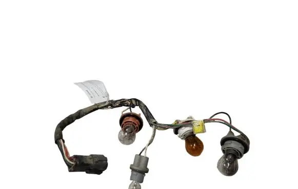 Tail light bulb cover holder