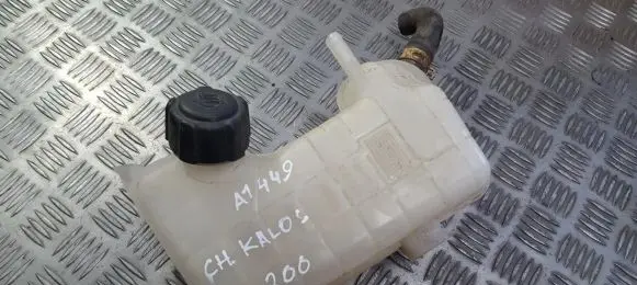 Renault Scenic II - Grand scenic II Coolant expansion tank/reservoir 8200262036